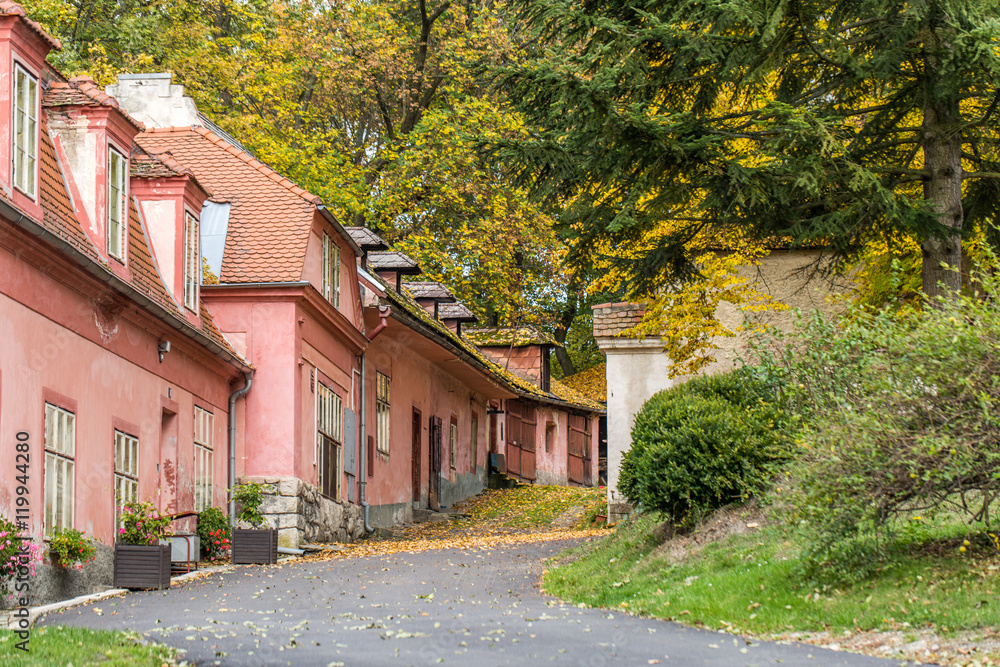 pink / rose-colored houses with trees and foliage in fall