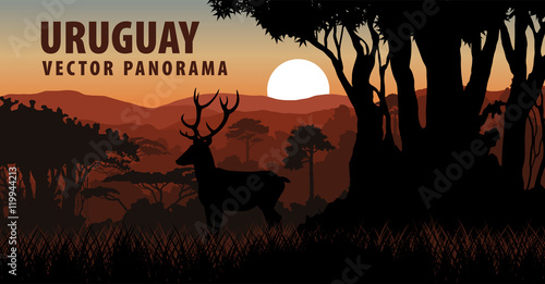 Vector panorama with Jungle forest - Uruguay, South America