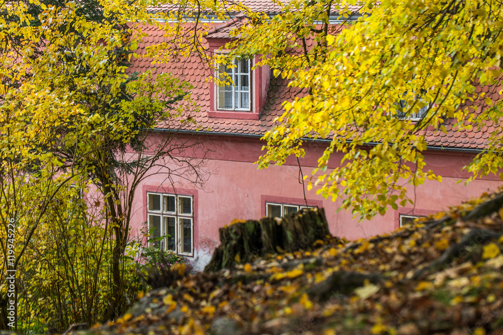pink / rose-colored building behind hill with tree stump and fol