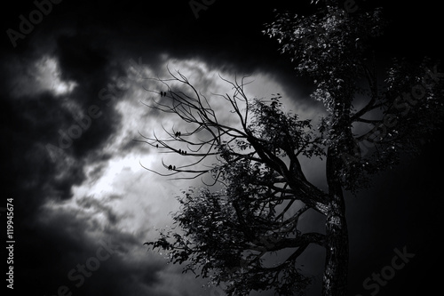 Halloween background with spooky forest and full moon