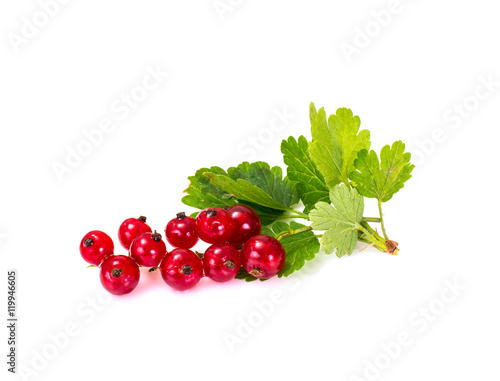 Red Currants Isolated on White