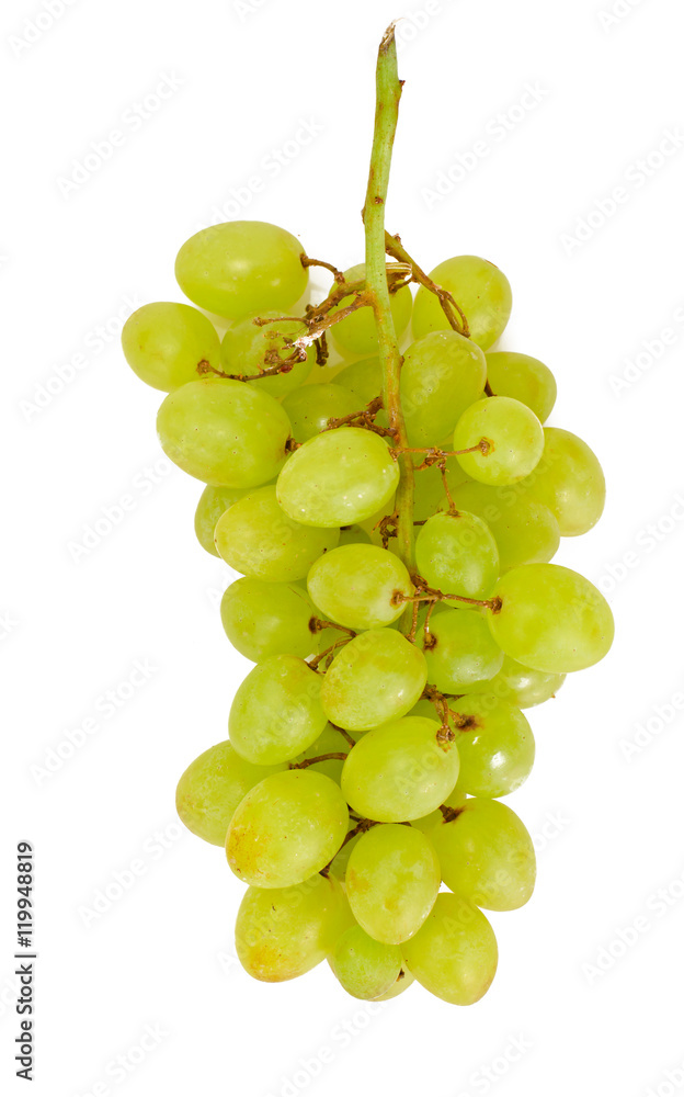Juicy Ripe Grapes Isolated on White Background