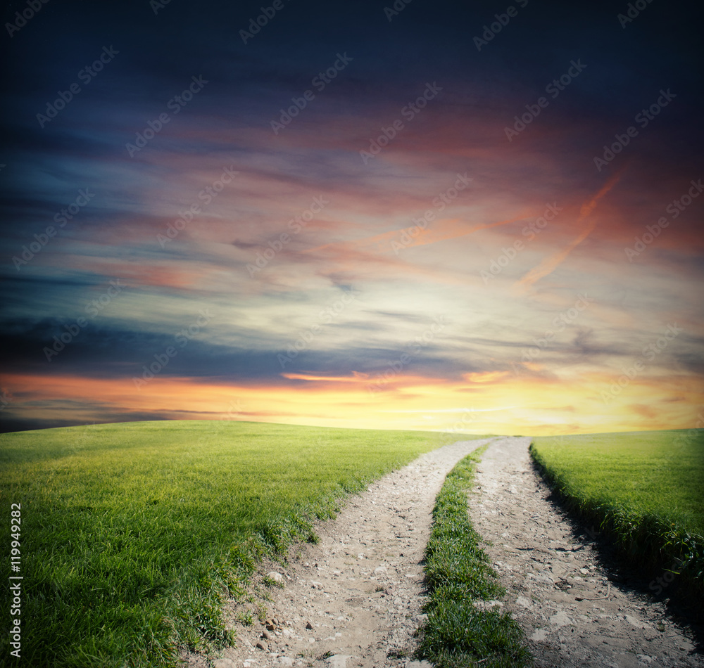 Fototapeta premium Green field way