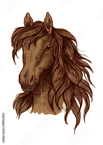 Brown running mustang portrait