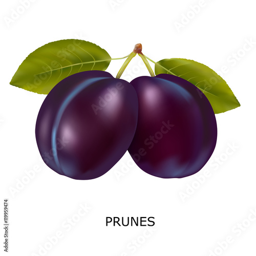 Plum on a white background