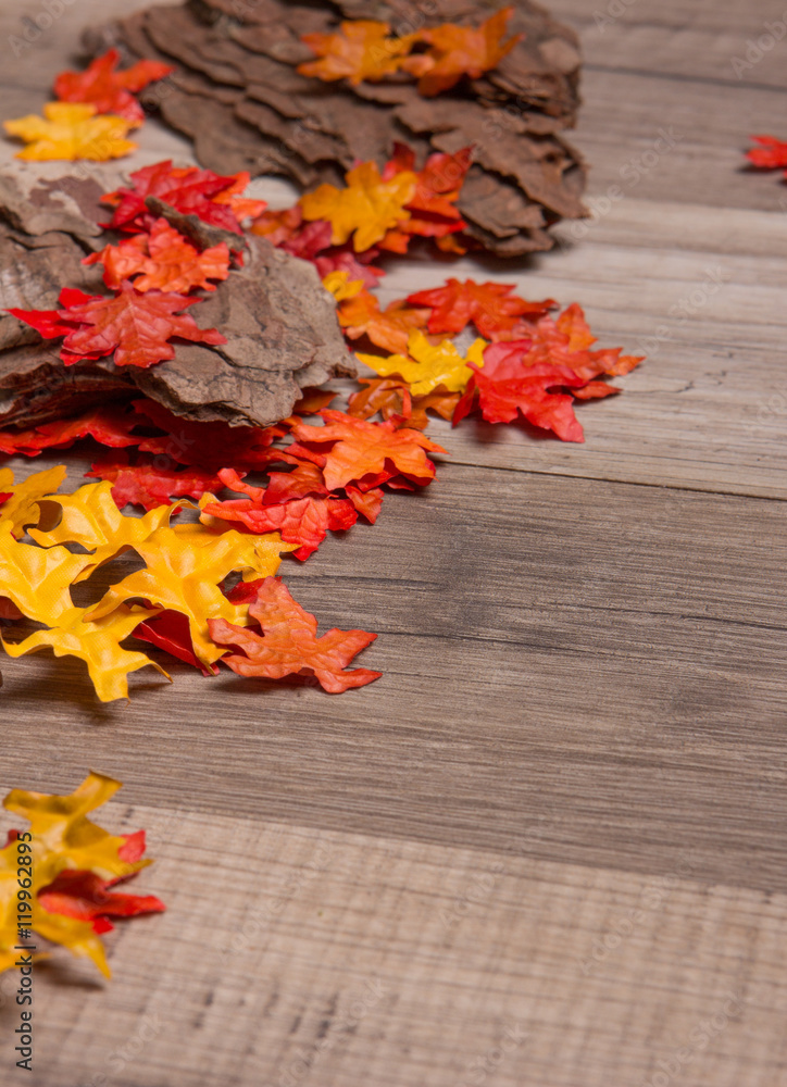 Obraz premium Herbstblätter