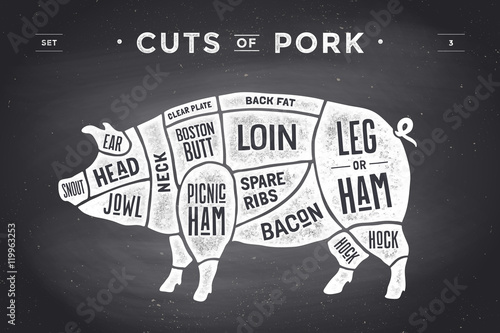 Cut of meat set. Poster Butcher diagram, scheme and guide - Pork. Vintage typographic hand-drawn. illustration. photo