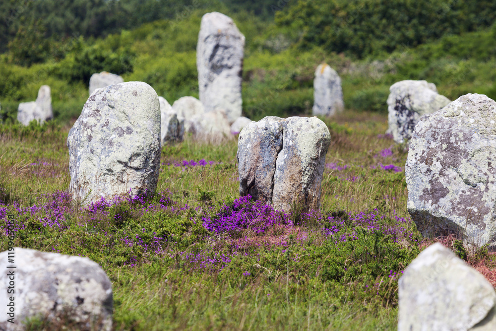 Carnac stones