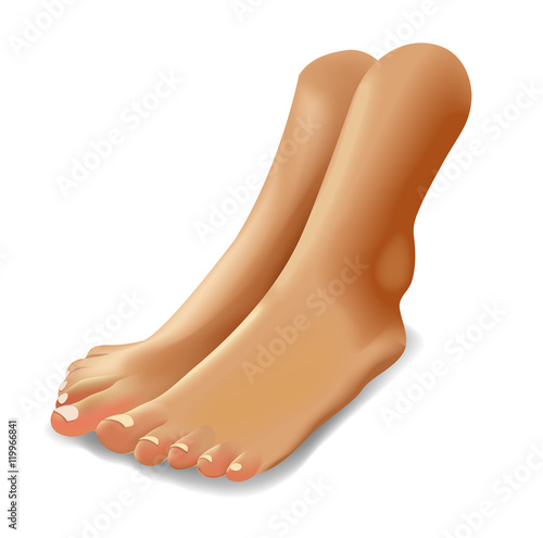 Vector illustration of female feet isolated on white background realistic