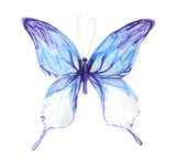 Isolated watercolor colorful butterfly on white background. Beautiful fragile creature for decoration. Wings with pattern.