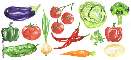 Watercolor vegetables set. Fresh and healthy vegetables on white background. Great source of vitamin. Eggplant, tomato, chili and more.