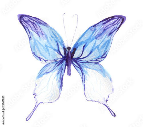 Wallpaper Mural Isolated watercolor colorful butterfly on white background. Beautiful fragile creature for decoration. Wings with pattern. Torontodigital.ca