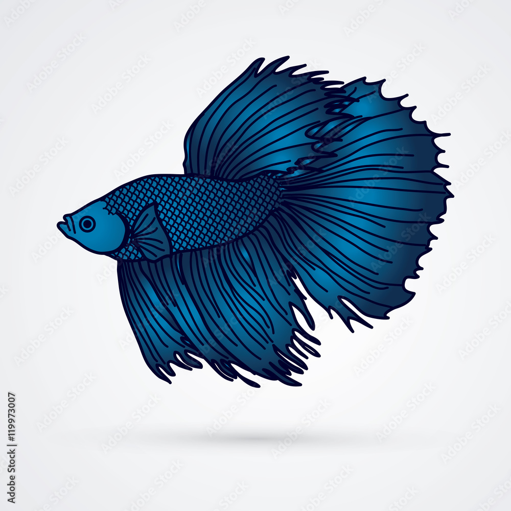 Fototapeta premium Blue Siamese fighter fish graphic vector.