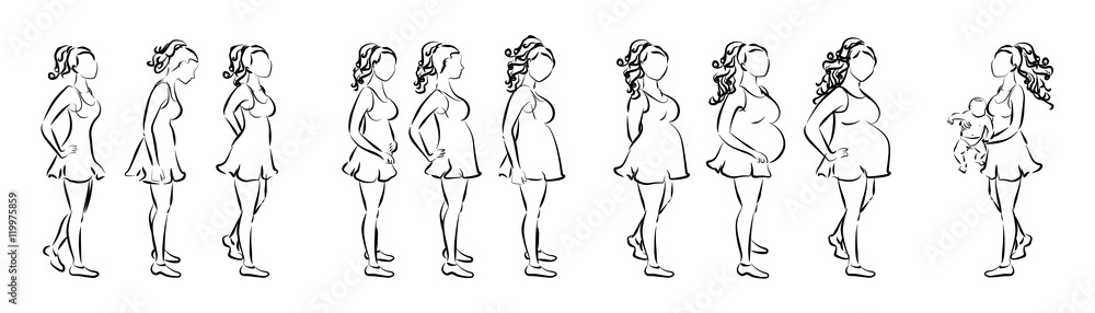 Pregnancy stages concept. Pregnant female silhouettes. Three trimesters with baby birth.