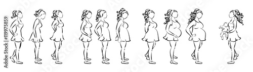 Pregnancy stages concept. Pregnant female silhouettes. Three trimesters with baby birth.