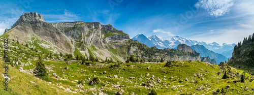 Panorama-Aufnahme mit Blick auf Eiger  M  nch und Jungfrau von der Schynige Platte
