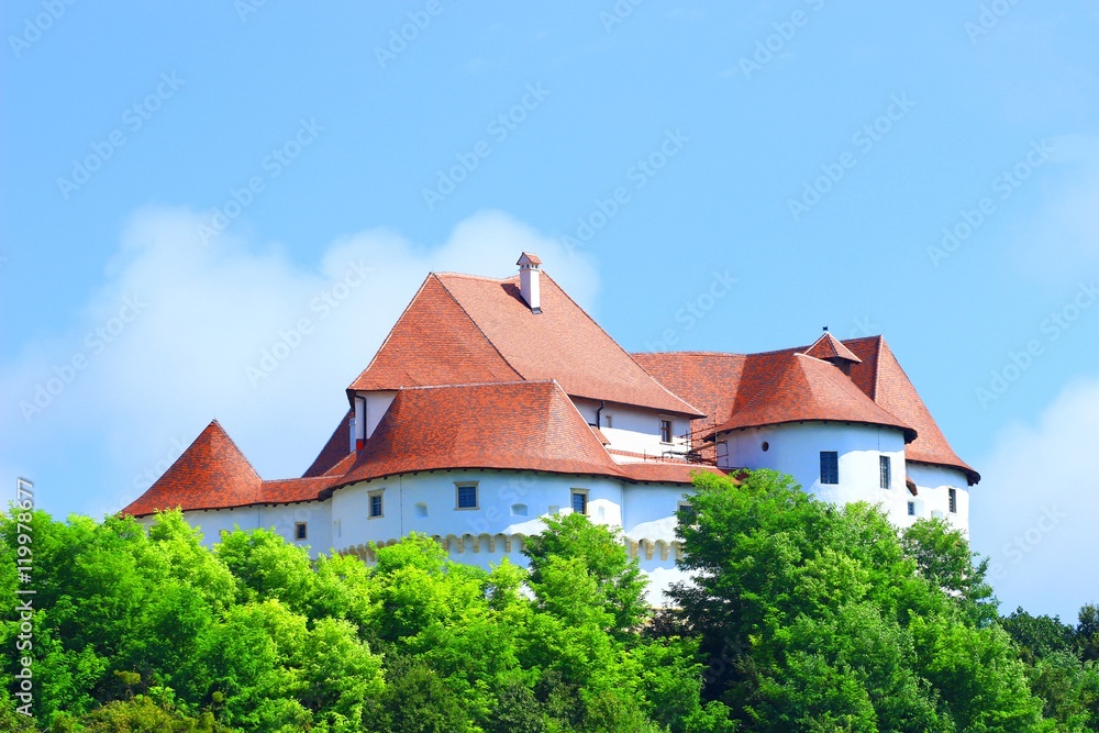 Roof of the Castle Veliki Tabor in Croatia