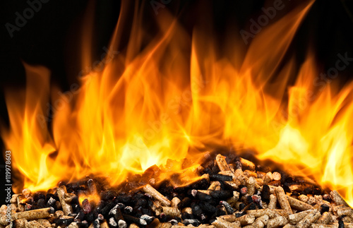 burning wood pellet