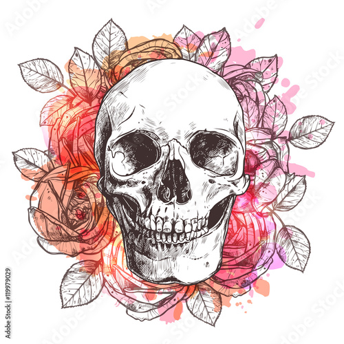 Skull And Flowers. Sketch With Watercolor Effect