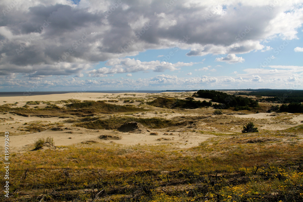 Woods and dunes of the Curonian Spit