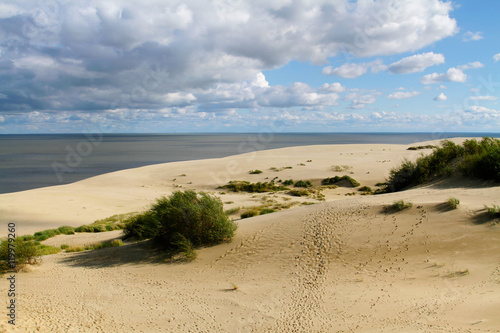 Fotografie Dunes of the Curonian Spit