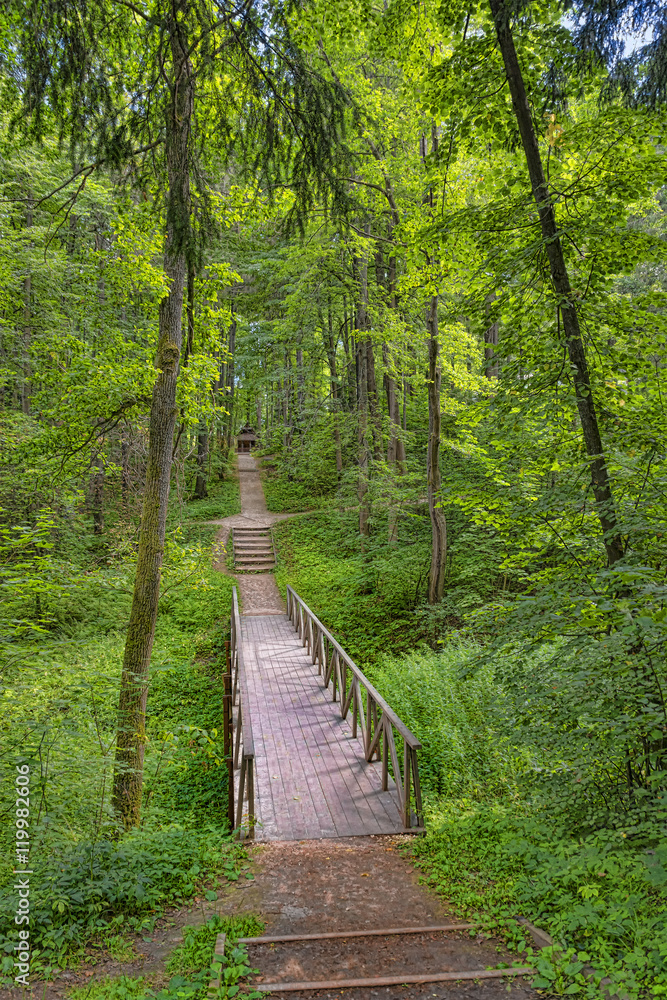 Obraz premium Most przez wąwóz