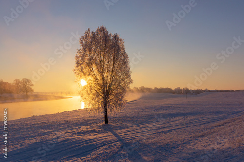 Fog at the Elbe river near Torgau during a winter sunrise. Focus on tree © kelifamily