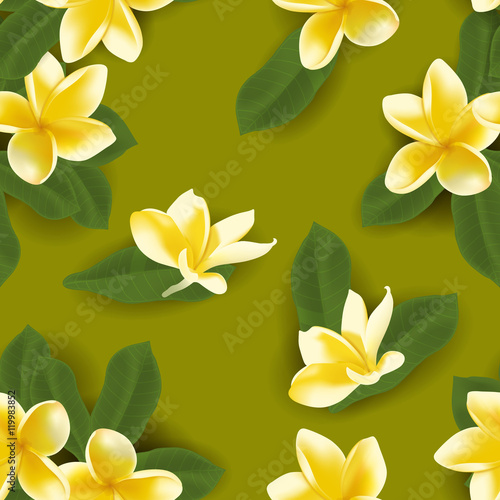 Vector illustration of seamless pattern with frangipani