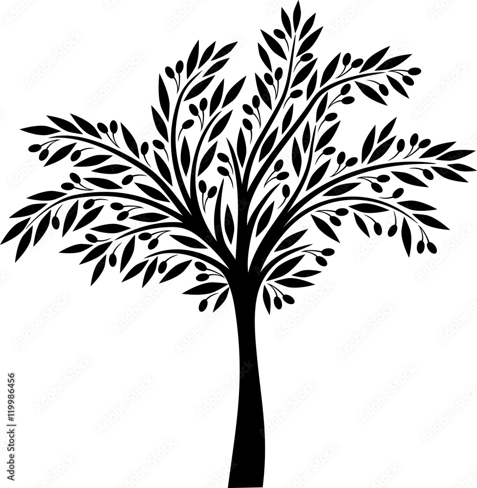 Obraz premium Olive tree silhouette