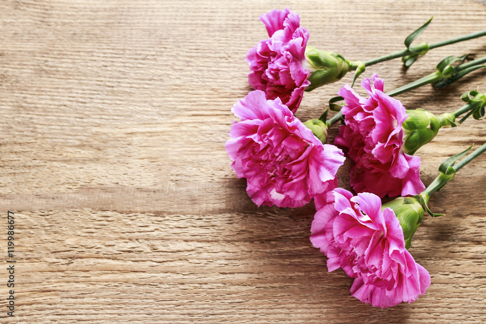 Pink carnation flowers on wooden background