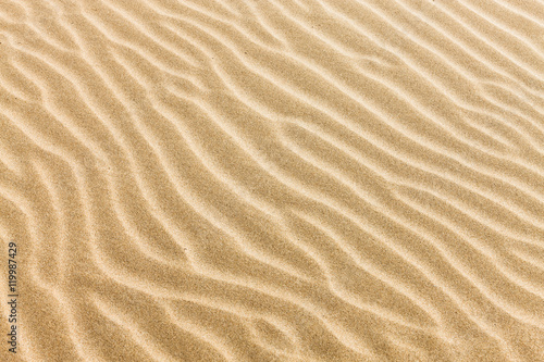 Fototapeta Naklejka Na Ścianę i Meble -  piasek z falami - tekstury piasku na plaży
