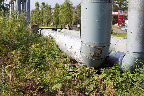 The pipes pass through the grass and bushes. The old tubes and l