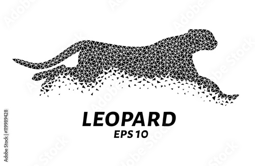 Leopard triangles, particle divergent composition, vector illustration