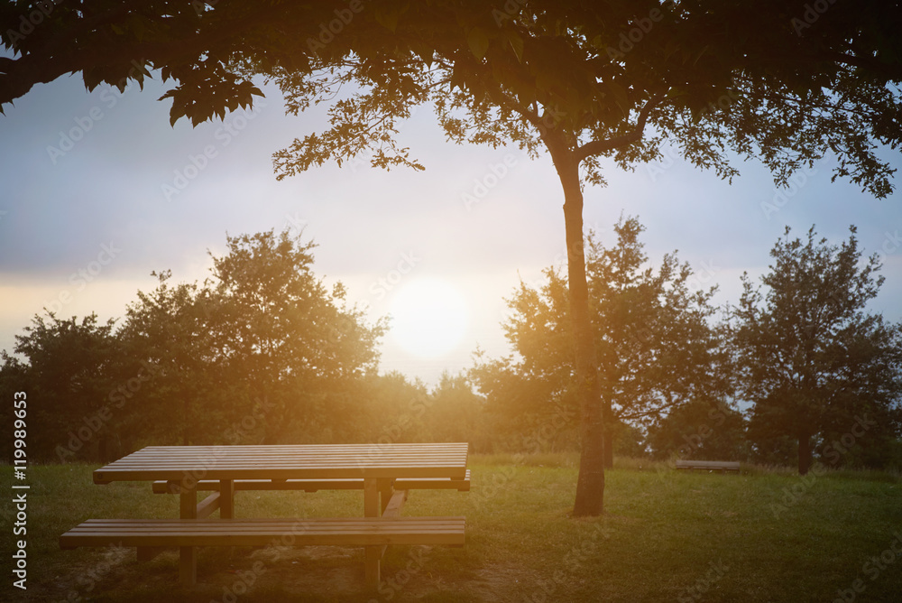 Obraz premium Backlit shot of a wooden picnic bench under a large tree on lush green grass at sunset