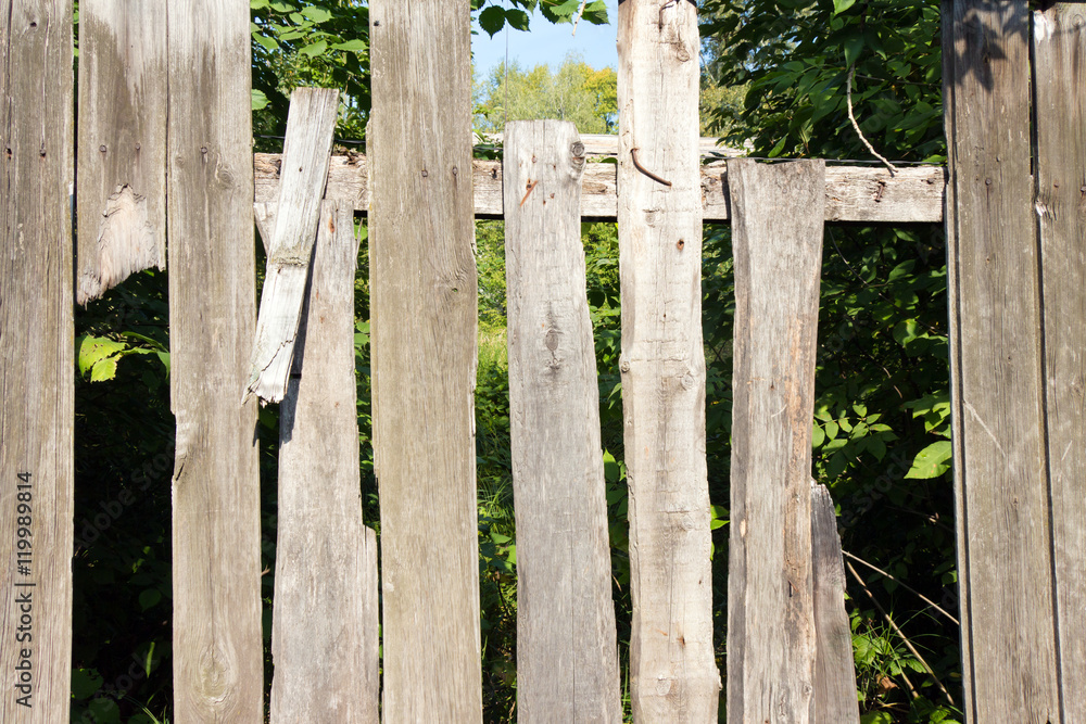 Old wooden fence grey color. Through the large cracks visible gr Old wooden fence grey color. Through the large cracks visible gr
