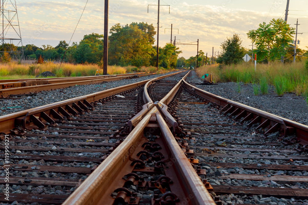 Fototapeta premium Cargo train platform at sunset. Railroad in Ukraine. Railway