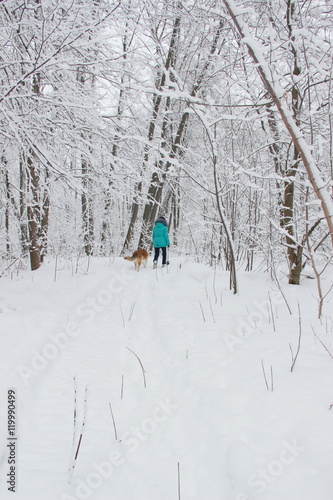 woman in a turquoise jacket walks with her dog along a path among the trees in a winter snowy forest