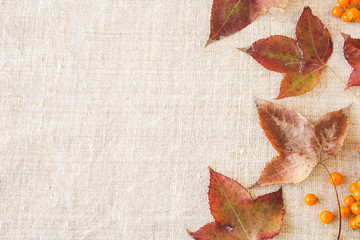 Autumn falll leaves copy space toning thanksgiving background