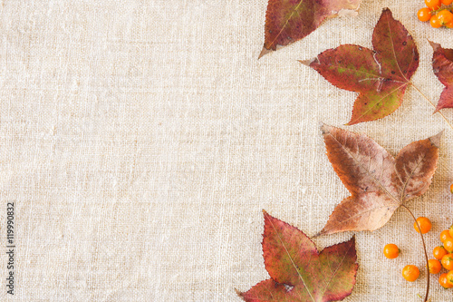 Autumn falll leaves copy space toning thanksgiving background photo