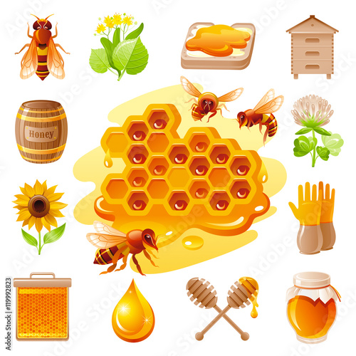 Bee honey icon set with cartoon flat icons - honeybee, linden, sandwich, honeycomb, honeyhive, bareel, jar, clover flower. On white background. Modern elegant style, beekeeping food concept template.