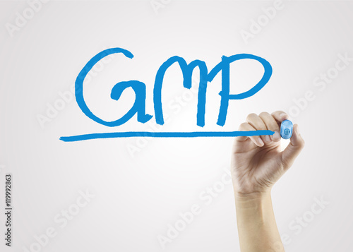 women hand writing GMP word on gray background for business strategy and used in manufacturing.