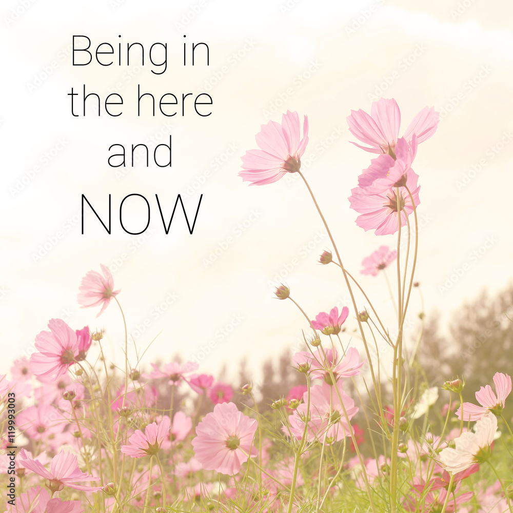 Inspirational quote on blurred wild flowers background