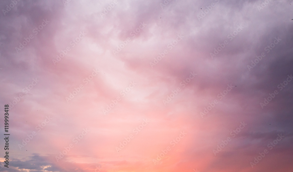 Pink and purple sunset background.