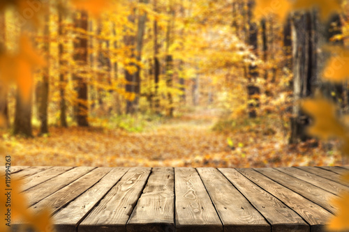 autumn background 