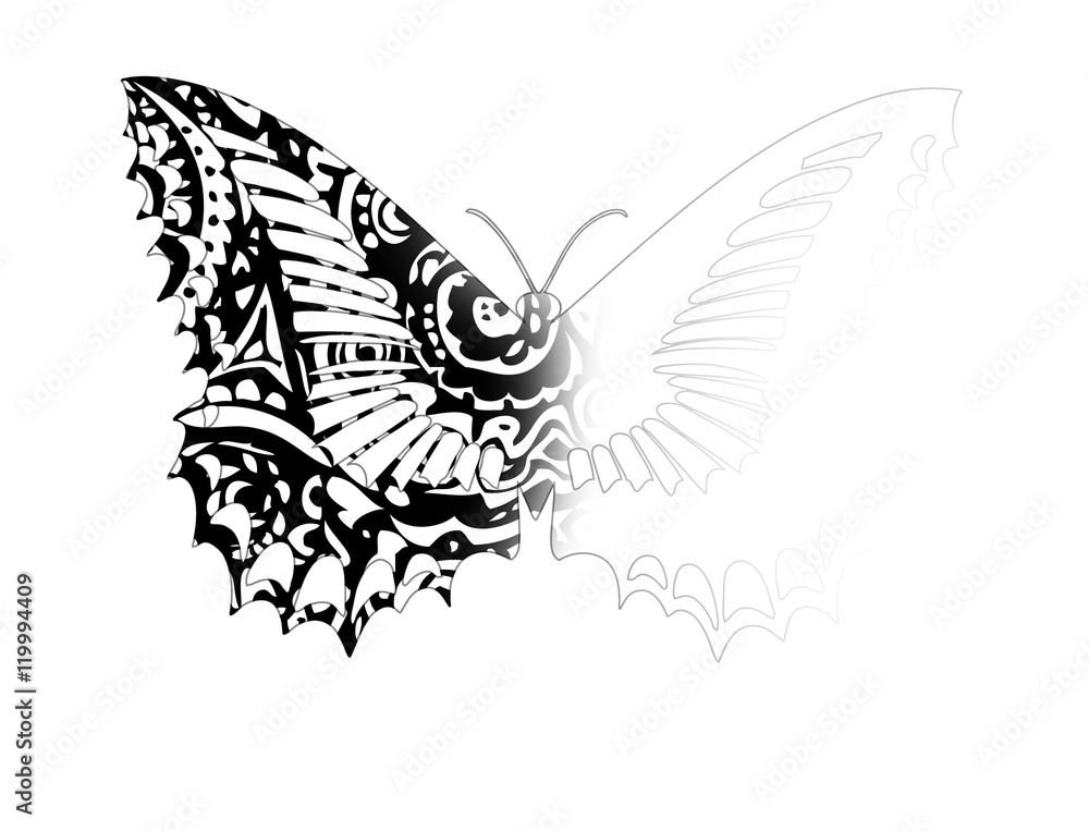 Schmetterling mit Muster Schmetterling mit Muster