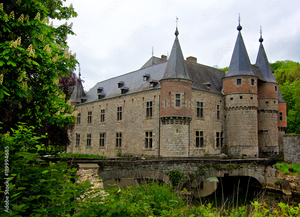 Old Castle in Spontin