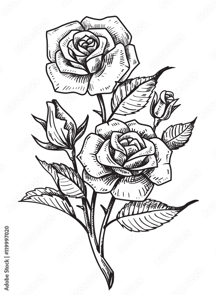 Obraz premium vector tattoo roses with leaves