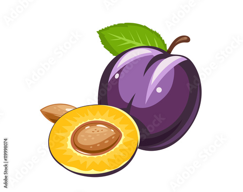 Plum. Ripe juicy fruit with nut and leaf