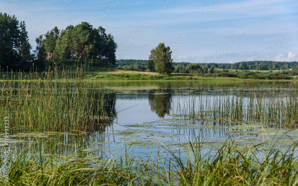 landscape summer lake on background of forest and blue sky landscape summer lake on background of forest and blue sky