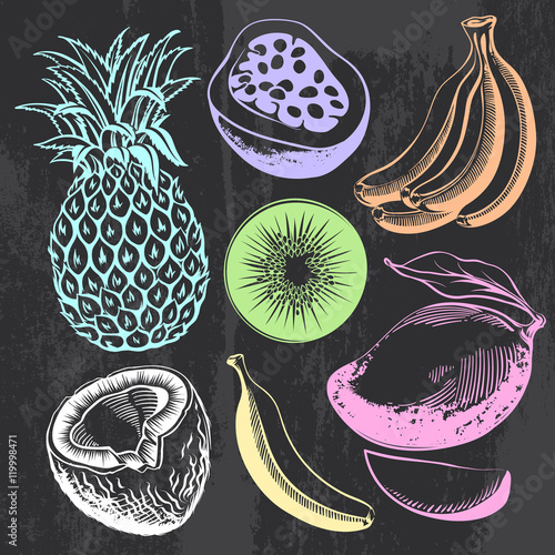Multicolored Hand-drawn Contours of Tropical Fruits